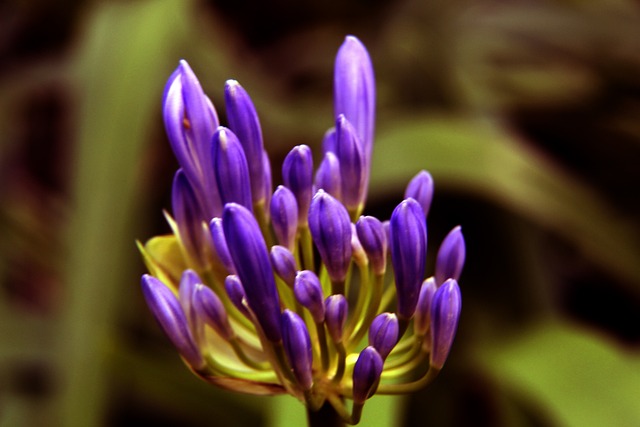 造空间能力 造空间能力