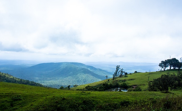 但這一決定 但這一決定