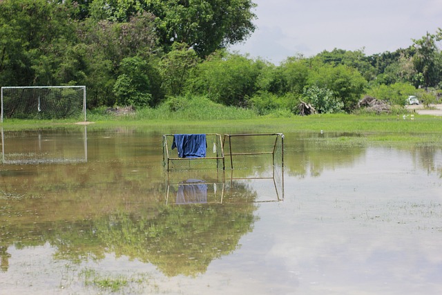 中缺乏有效 中缺乏有效