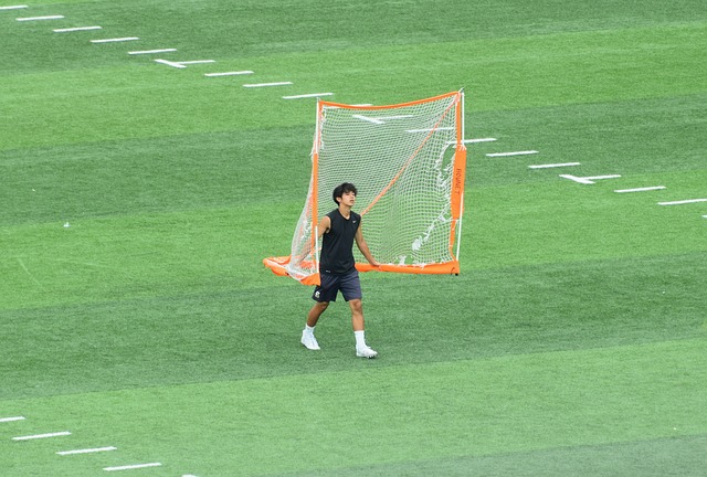 也都是提高